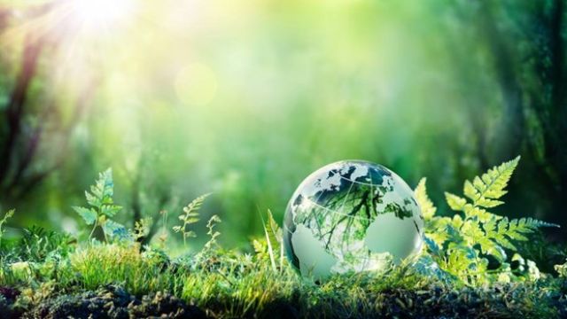Investidores ESG têm finalmente critérios mais claros para ler relatórios de sustentabilidade; veja quais são