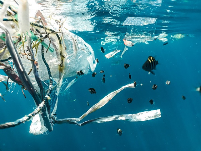 Plástico biodegradável: solução ou problema para o meio ambiente?